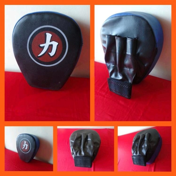 Focus Mitt Hattori - Gambar 3