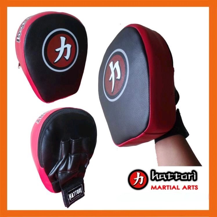 Focus Mitt Hattori - Gambar 2